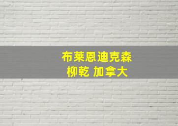 布莱恩迪克森 柳乾 加拿大